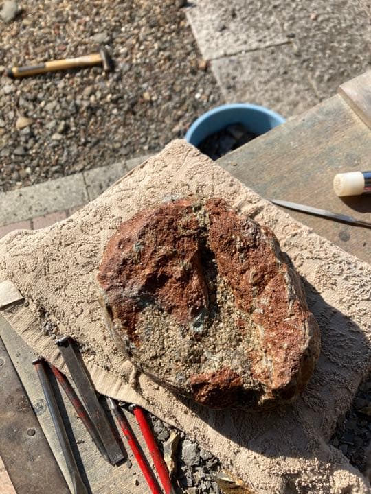 恐竜ハドロサウルスの卵本物保証化石/フィギュアコレクションインテリア