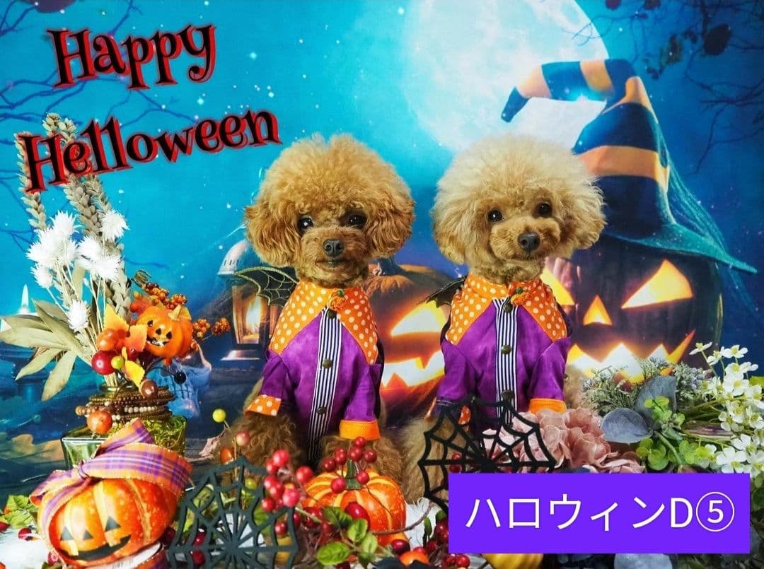 背景布ハロウィンK①パーティー、ペット、キッズ、ドール撮影用