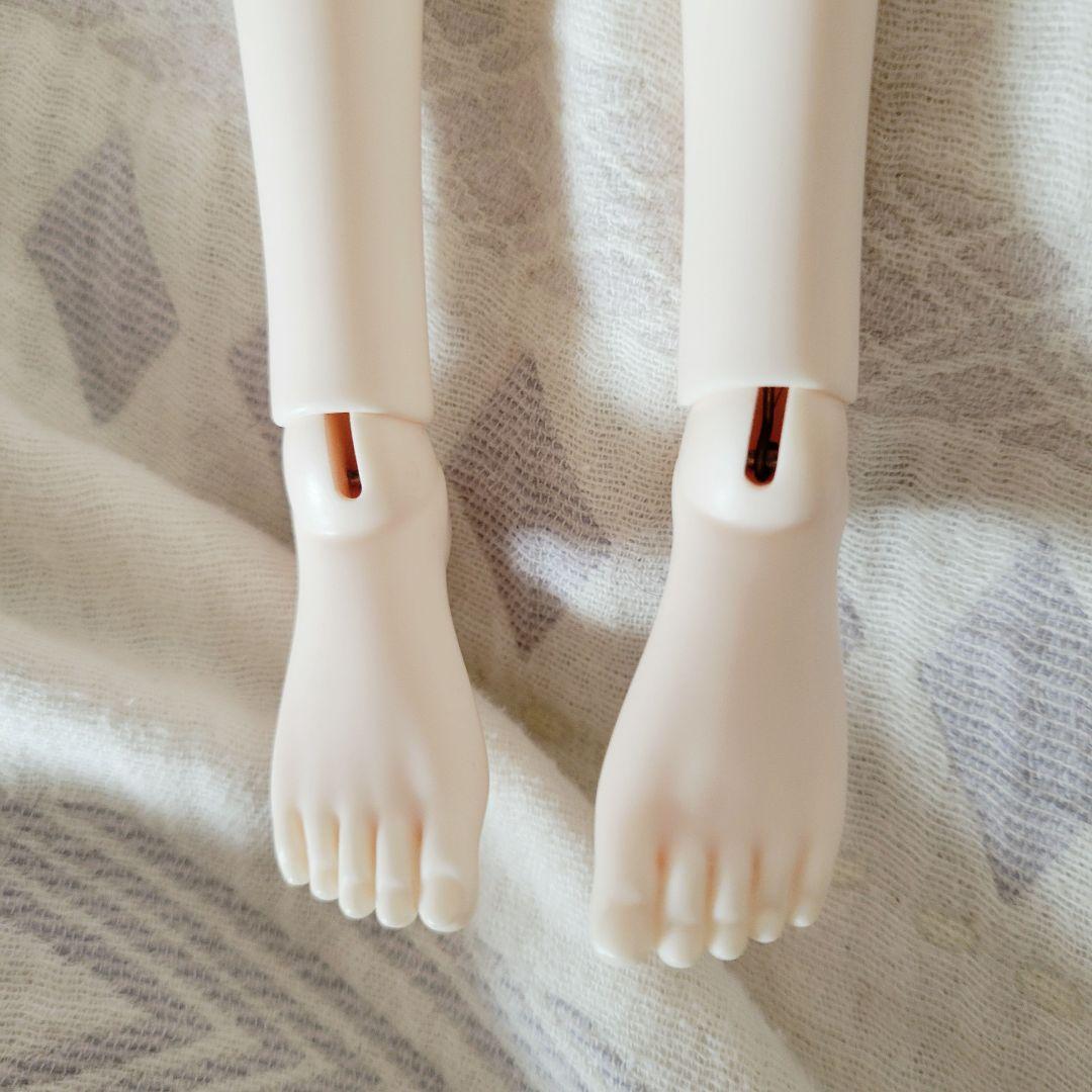 お値引き中　Myoudoll 文学少女 Delia 1/4 SDMサイズ