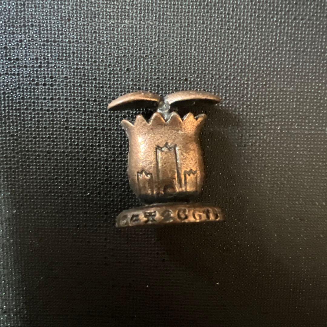 ポケモンメタルコレクション ヒマナッツ