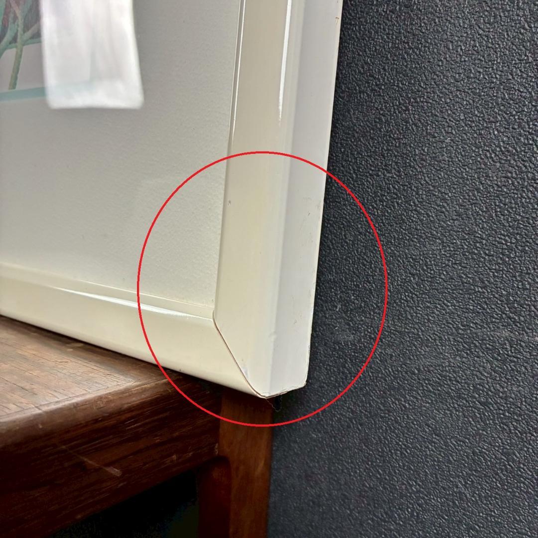 ジョアン・フック「サンゴ礁と熱帯魚」リトグラフ4点 直筆サイン入 額縁入