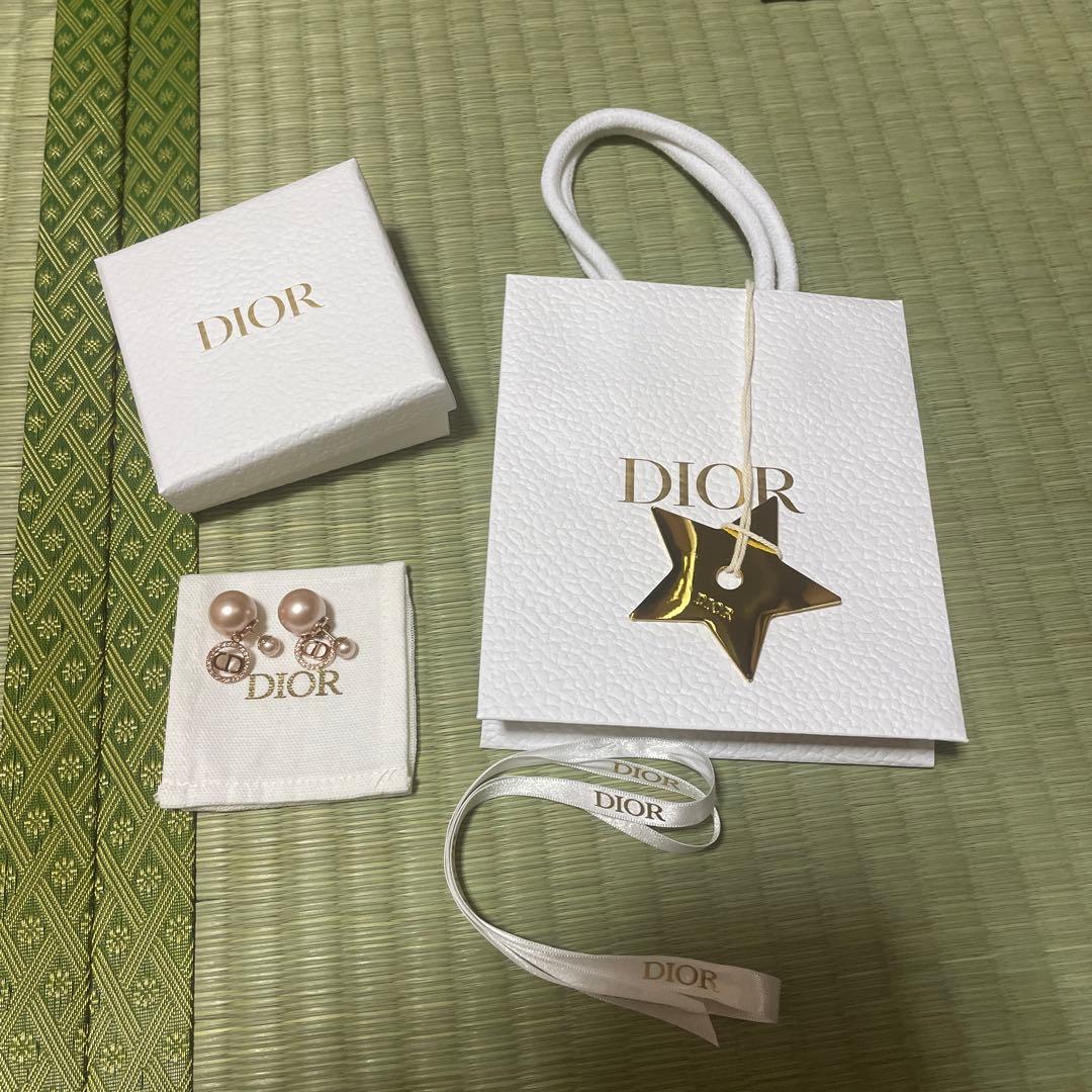 DIOR ディオール ピアス 新作 新品未使用 紙袋 箱 チャーム保存袋