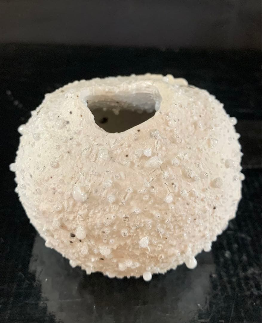 辻村史朗　白信楽小壺　B