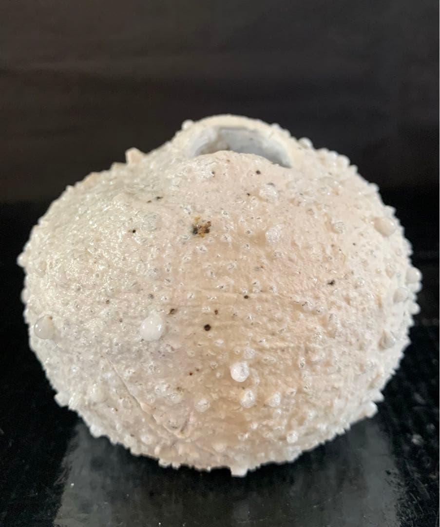 辻村史朗　白信楽小壺　B