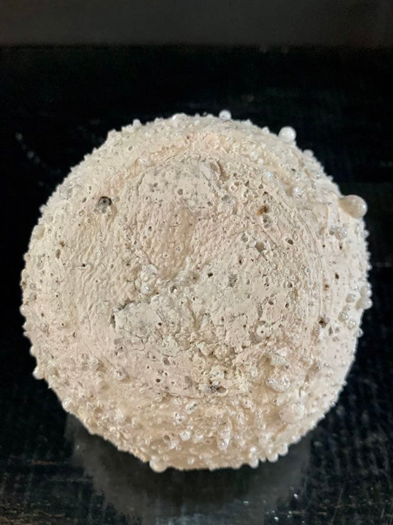 辻村史朗　白信楽小壺　B