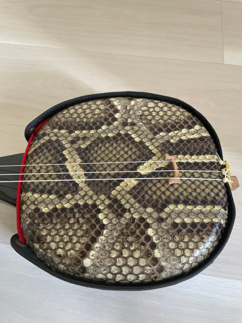 本蛇革】三線&入門本2冊