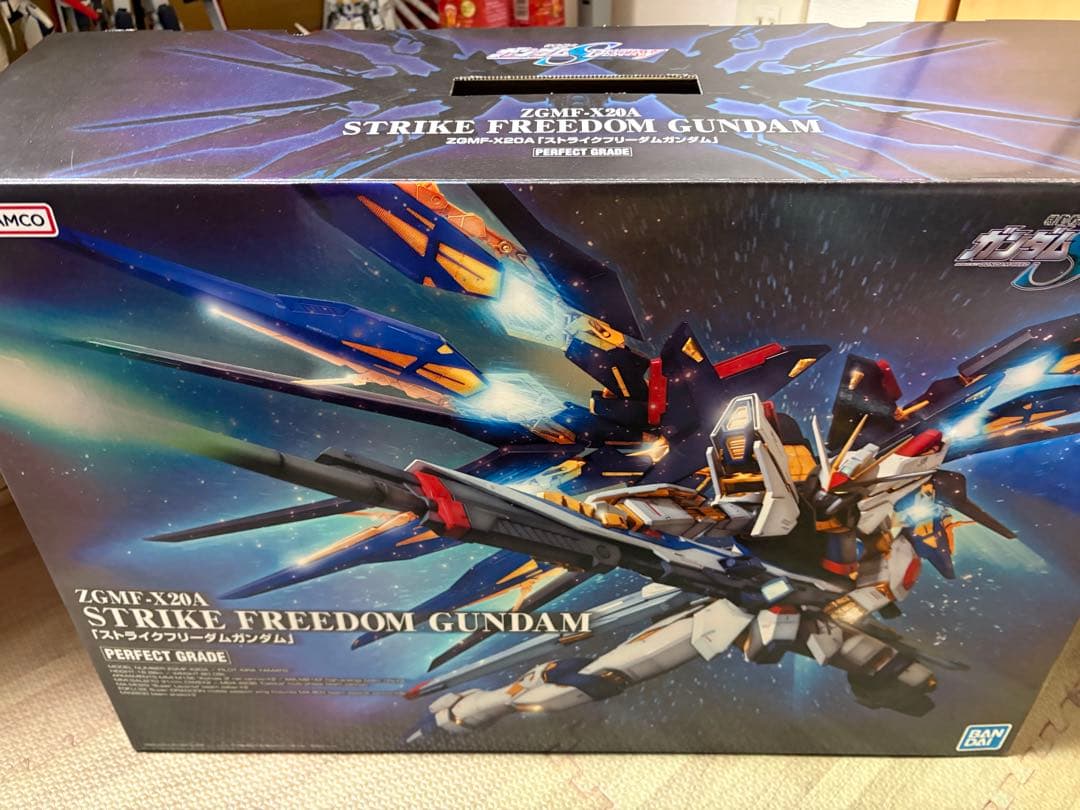 PGストライクフリーダム　一部組み立て PG ストライクフリーダムガンダム ～その1～ | メリクリウスの杖