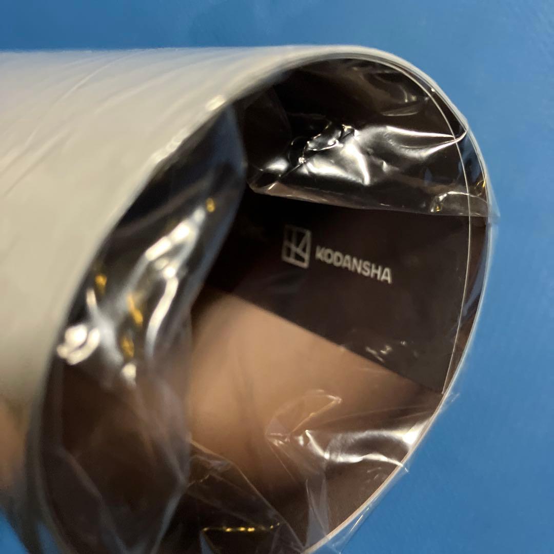 菊地姫奈 写真集 memory 購入特典 B2ポスター A・Bセット 非売品