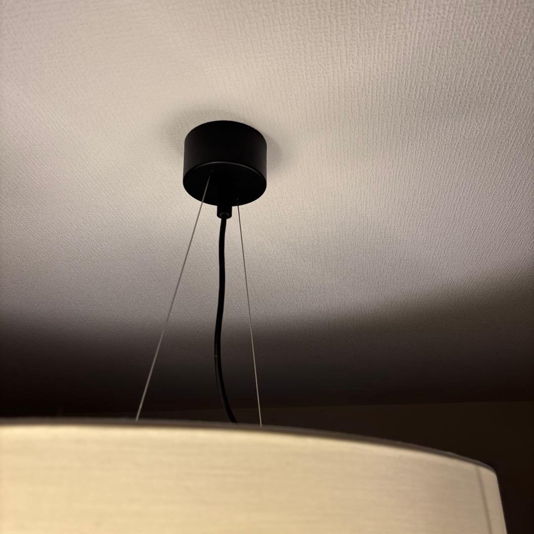 無印良品 廃盤 ペンダントライト 楕円 ホテル照明ラグジュアリー