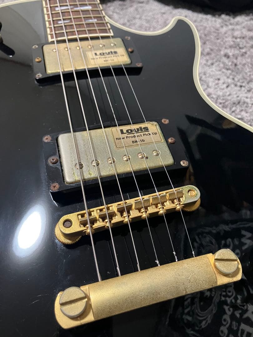 HISTORY DIGNITY レスポール エレキギター　ソフトケース付き