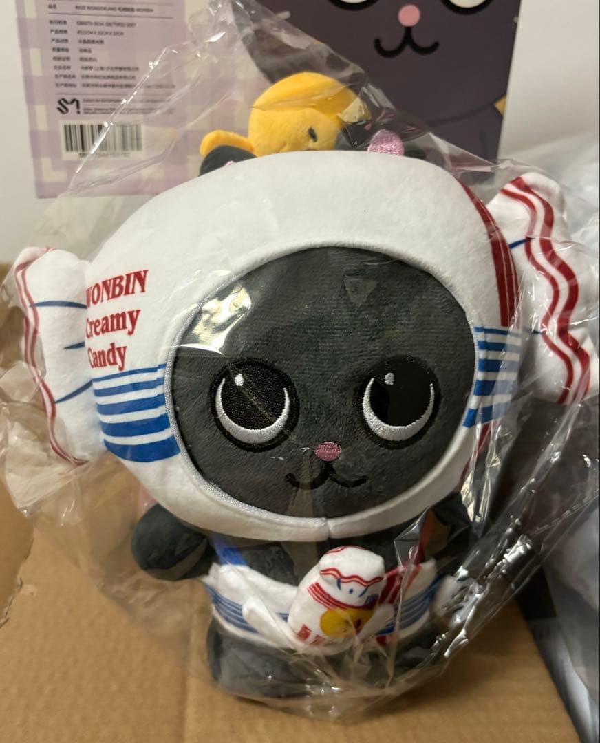 RIIZE wonbin ウォンビン バッグ 中国限定 RIIZE ウォンビン中国上海