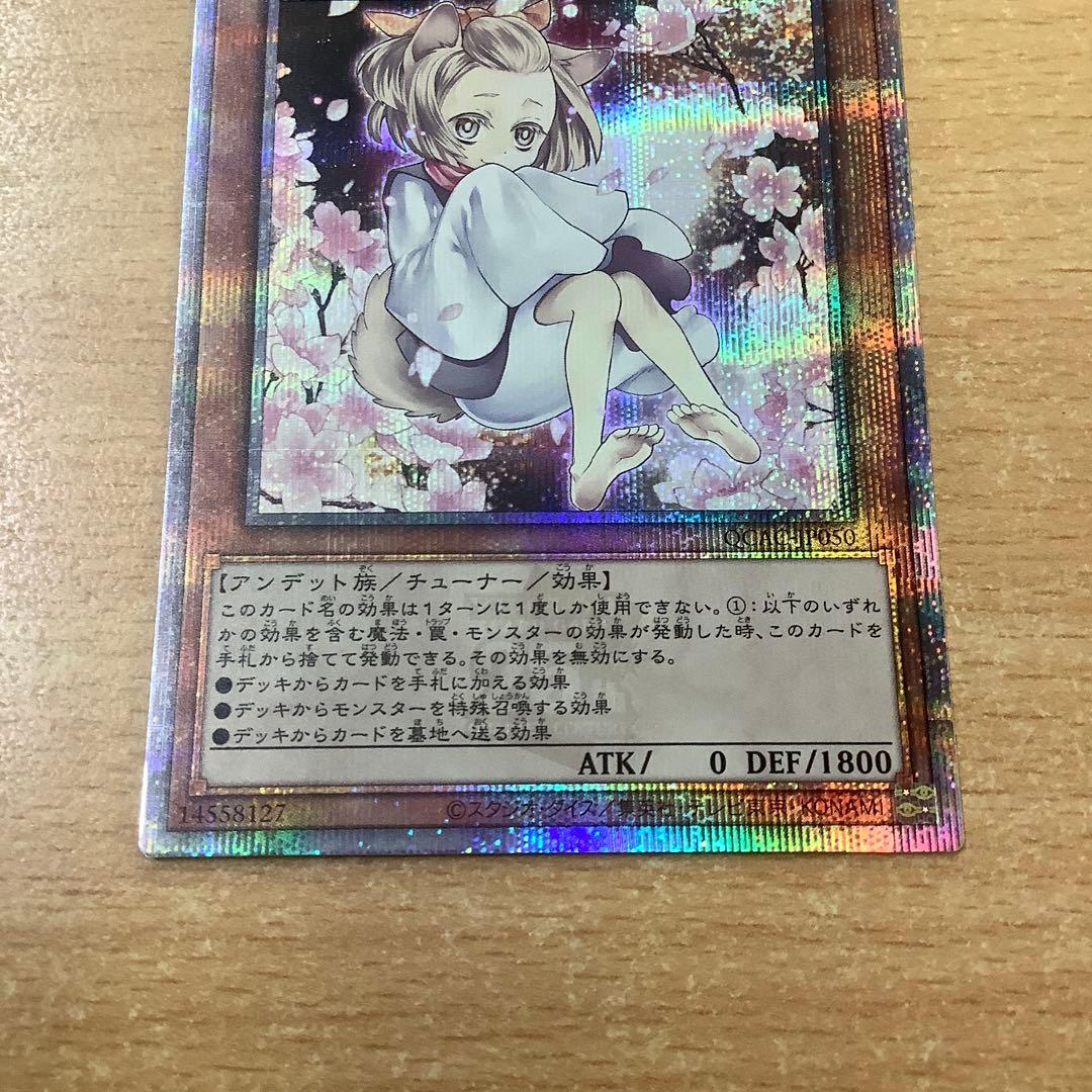 遊戯王 灰流うらら クオシク 25thシークレット QCAC ローダー発送