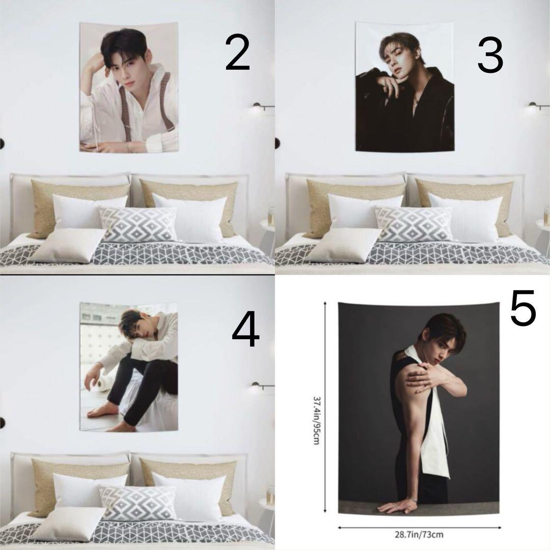 チャウヌタペストリー1〜 ASTRO