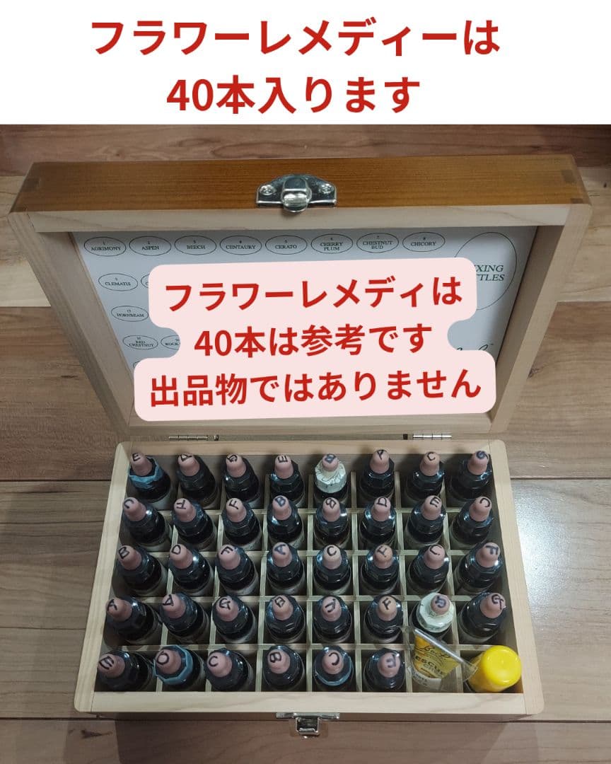 4/14まで期間限定価格【美品】バッチフラワーエッセンス事典