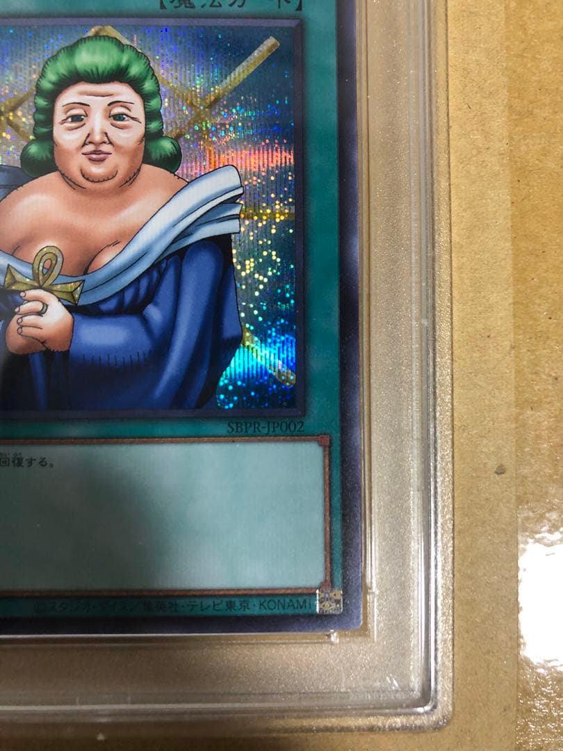 治療の神ディアンケト ブルシク PSA9 ブルーシックレット付属品完品