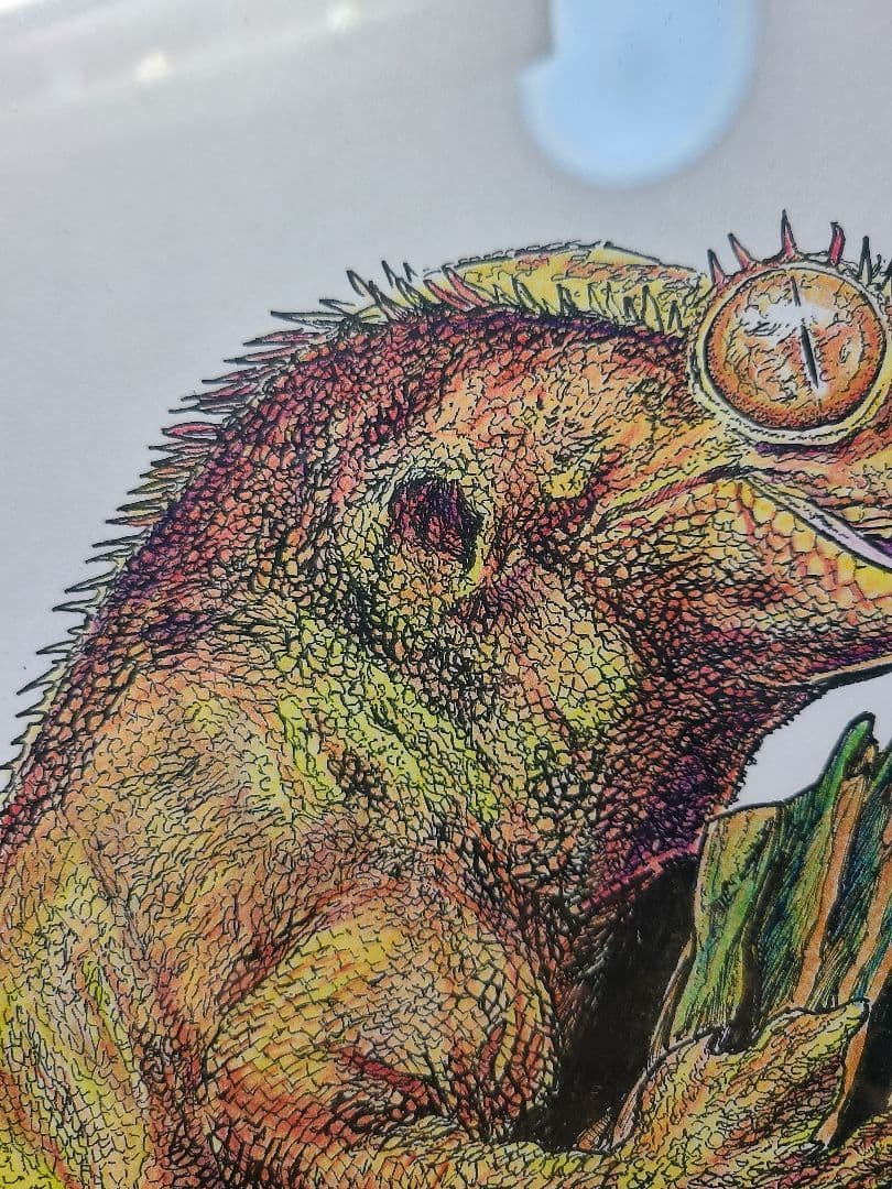 【クレステッドゲッコー】自作　額縁入り　B5