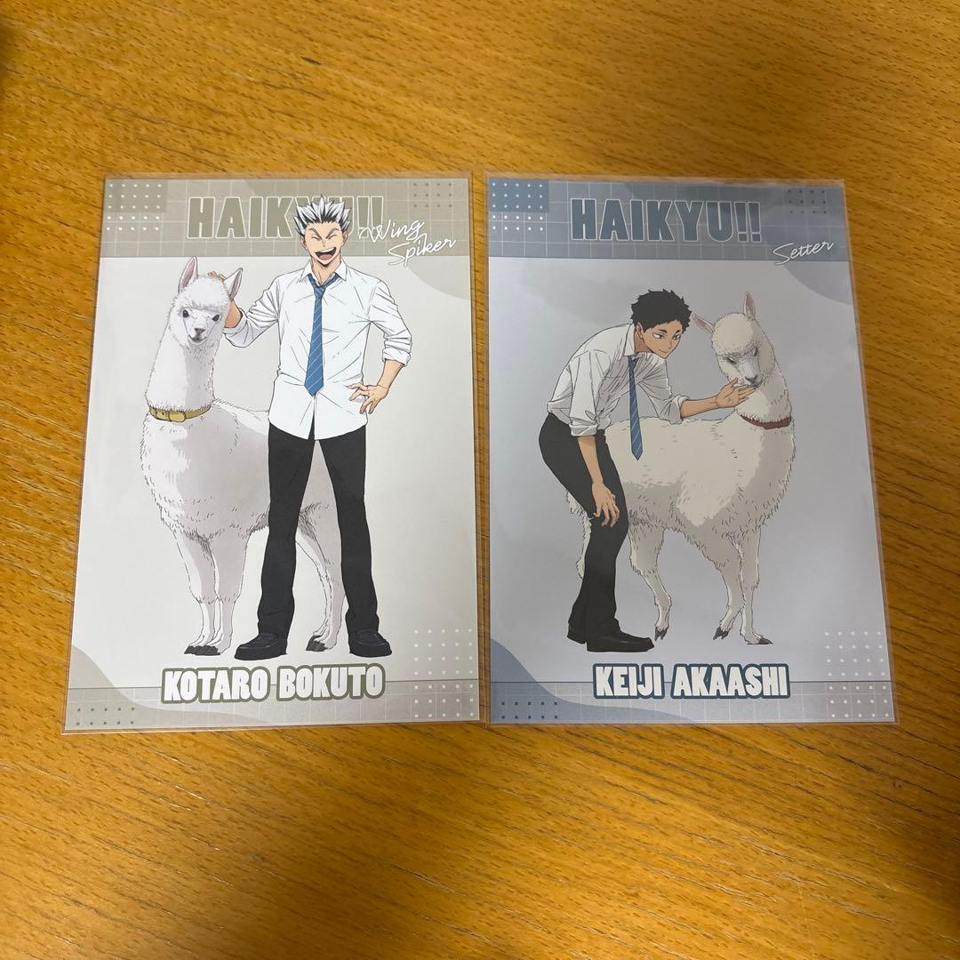 ハイキュー 東武動物園 木兎光太郎 赤葦京治 - メルカリ