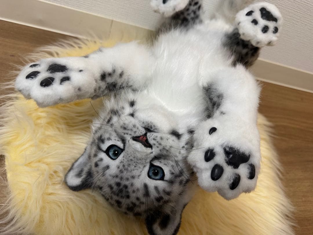 海外作家様作 アートドール ユキヒョウの子供