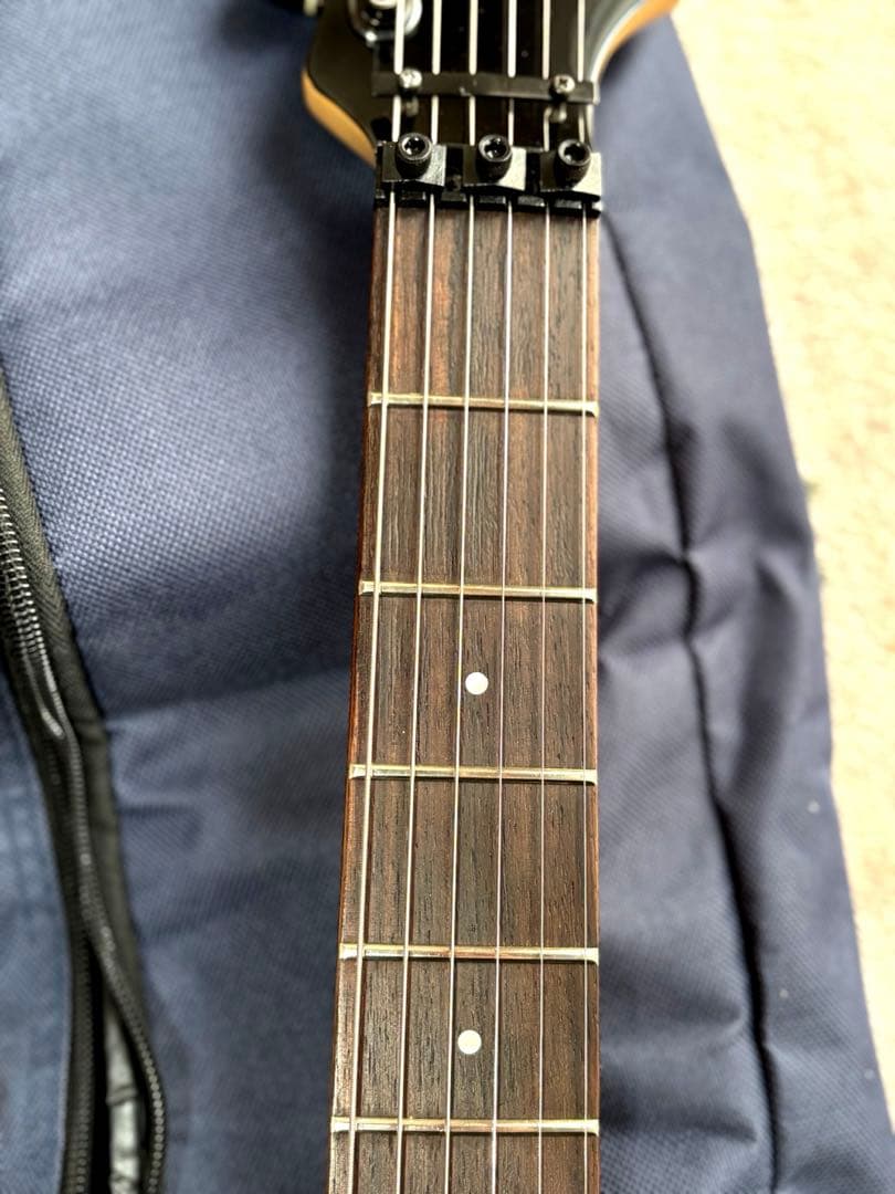 メンテナンス済み美品！　フェルナンデス　FR55