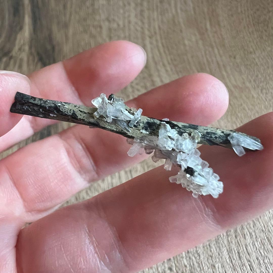 エジリン輝石 ナトロライト 41 共生 鉱物 標本 原石 美術品