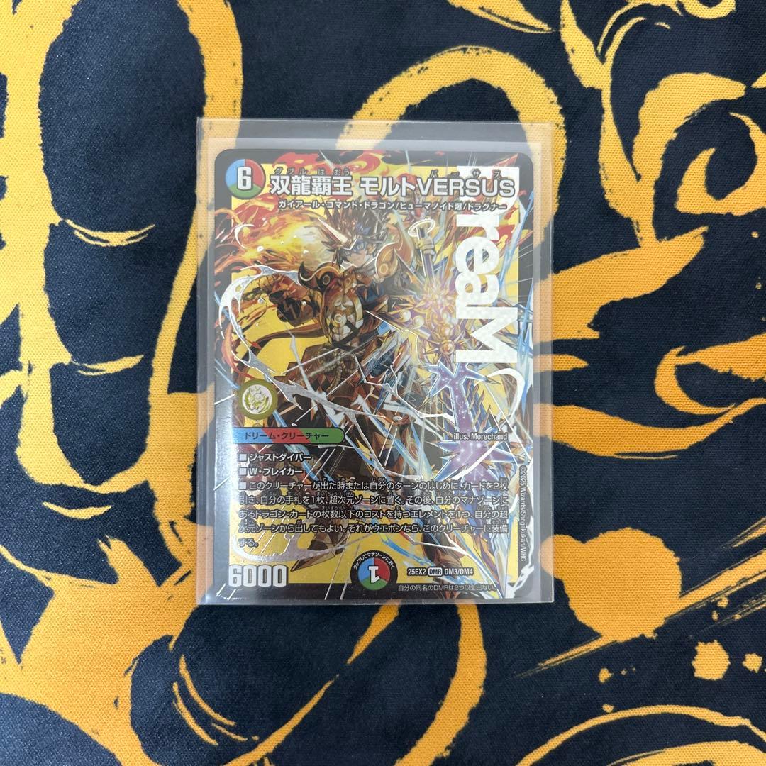 双龍覇王 モルトVERSUS - メルカリ