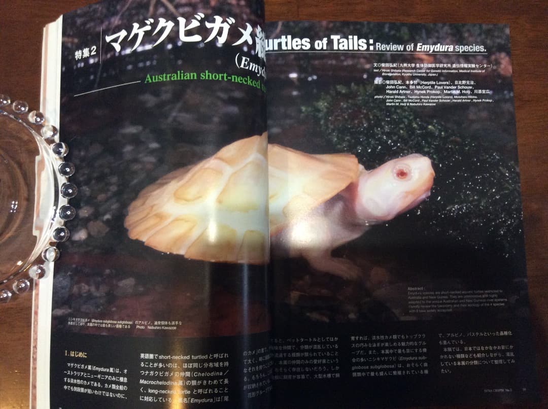 EXTRA CREEPER エクストラ・クリーパー 全4冊 誠文堂新光社の通販はau