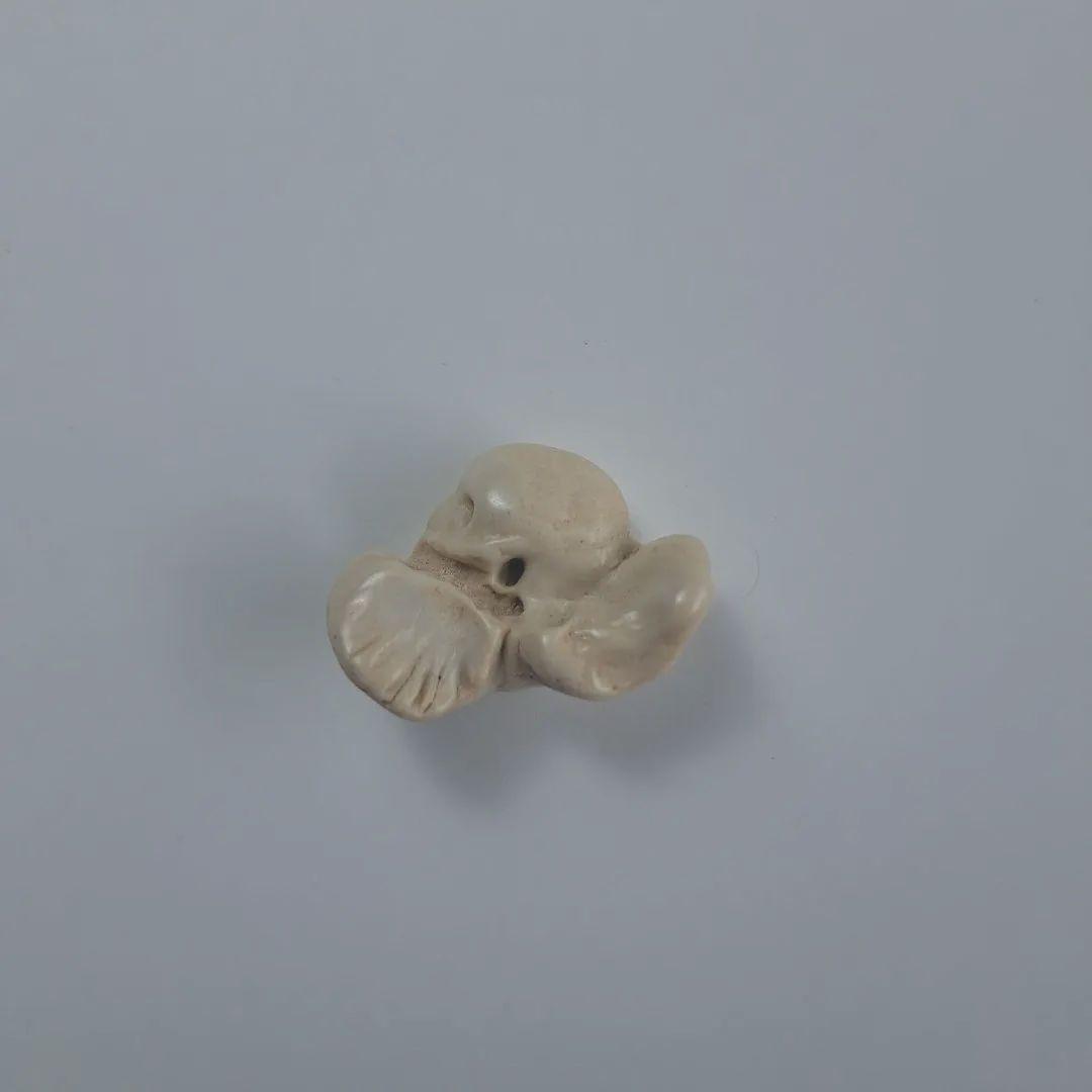 イルカの耳骨【大きさ2.7㎝ ③】 - メルカリ