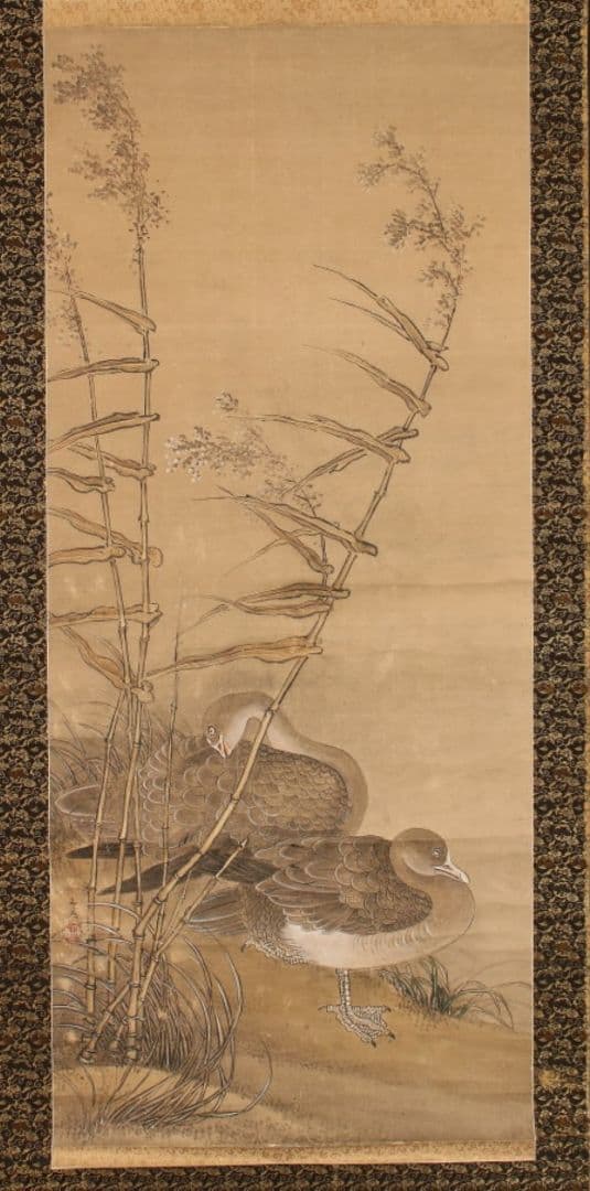 模写] 江戸後期絵師 谷文晁 南極寿星図 掛軸 高森碎巌 極箱／(検)