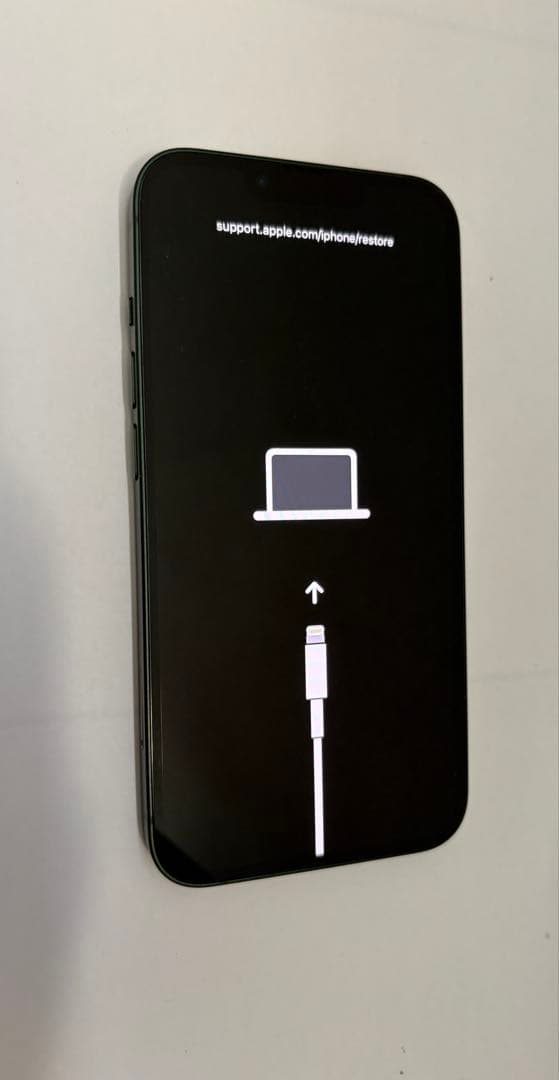 ジャンク品 カメラエラー有り Apple iPhone 13 ジャンク iPhone13 起動