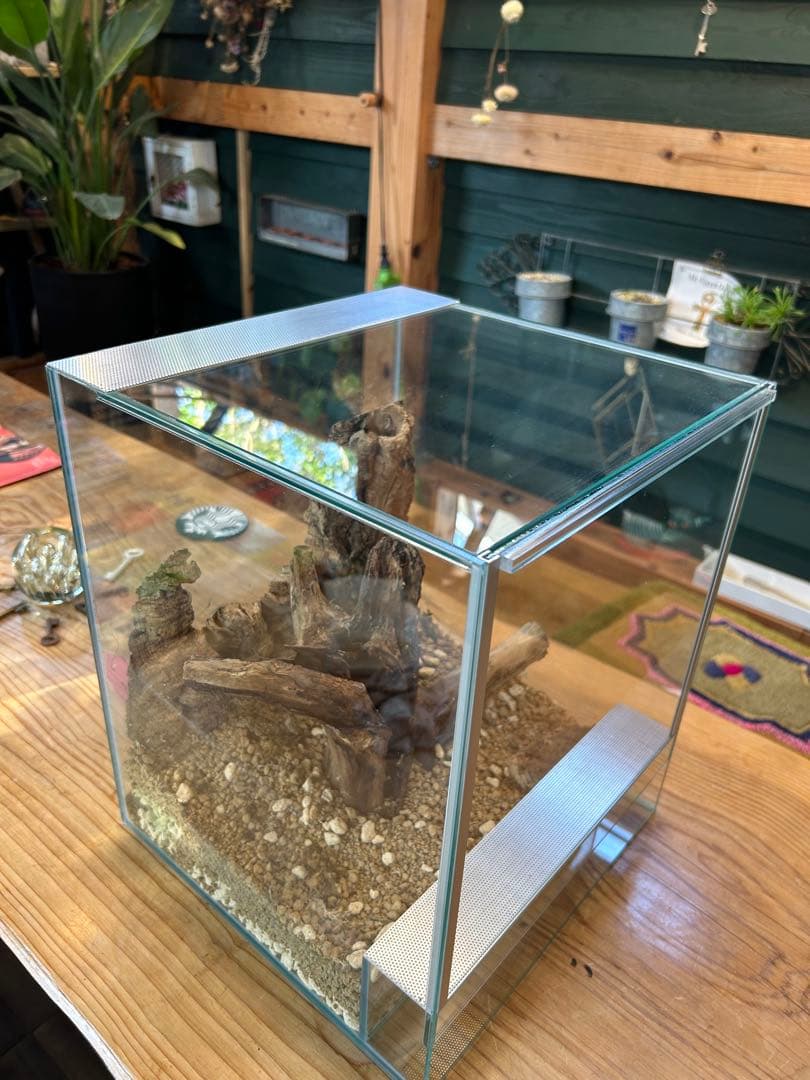 一点限り 特注水槽 600×200×200 3室 クリア ポンプ付き 未使用