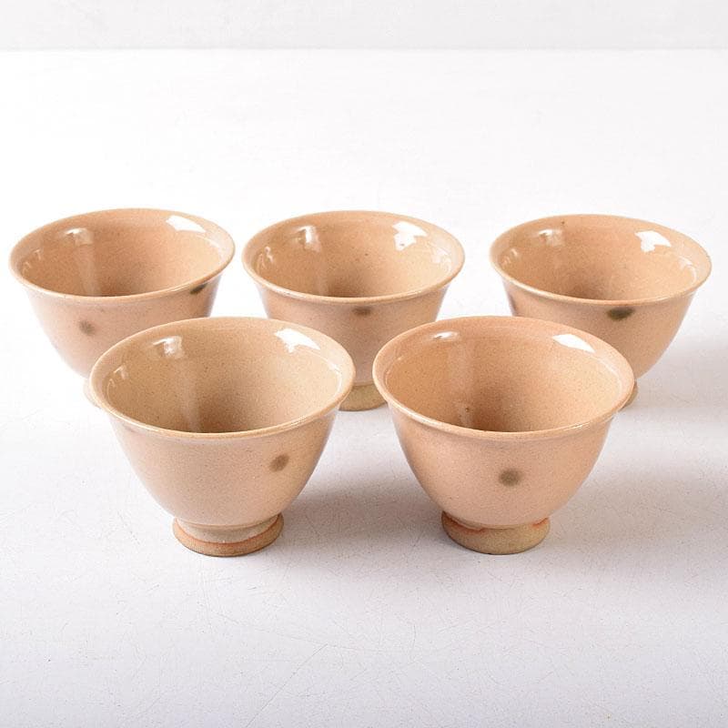 煎茶道具 虫明焼 煎茶器 5客 時代箱 V 8257