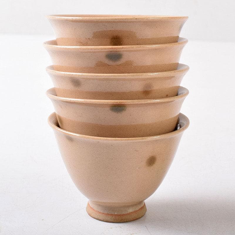 煎茶道具虫明焼煎茶器5客時代箱V8257