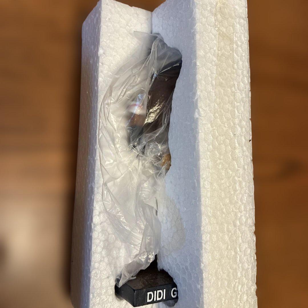 DIDI GREGORIUS ボブルヘッド コレクション#3