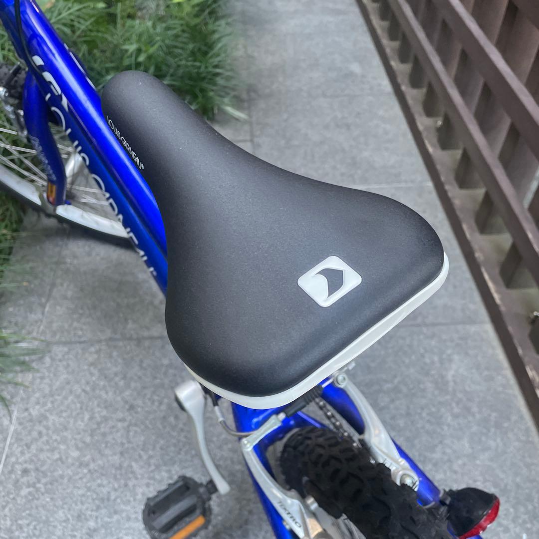 LOUISE GARNEAU 子供用20インチ/東京都 受け渡し限定-の正規品は正規