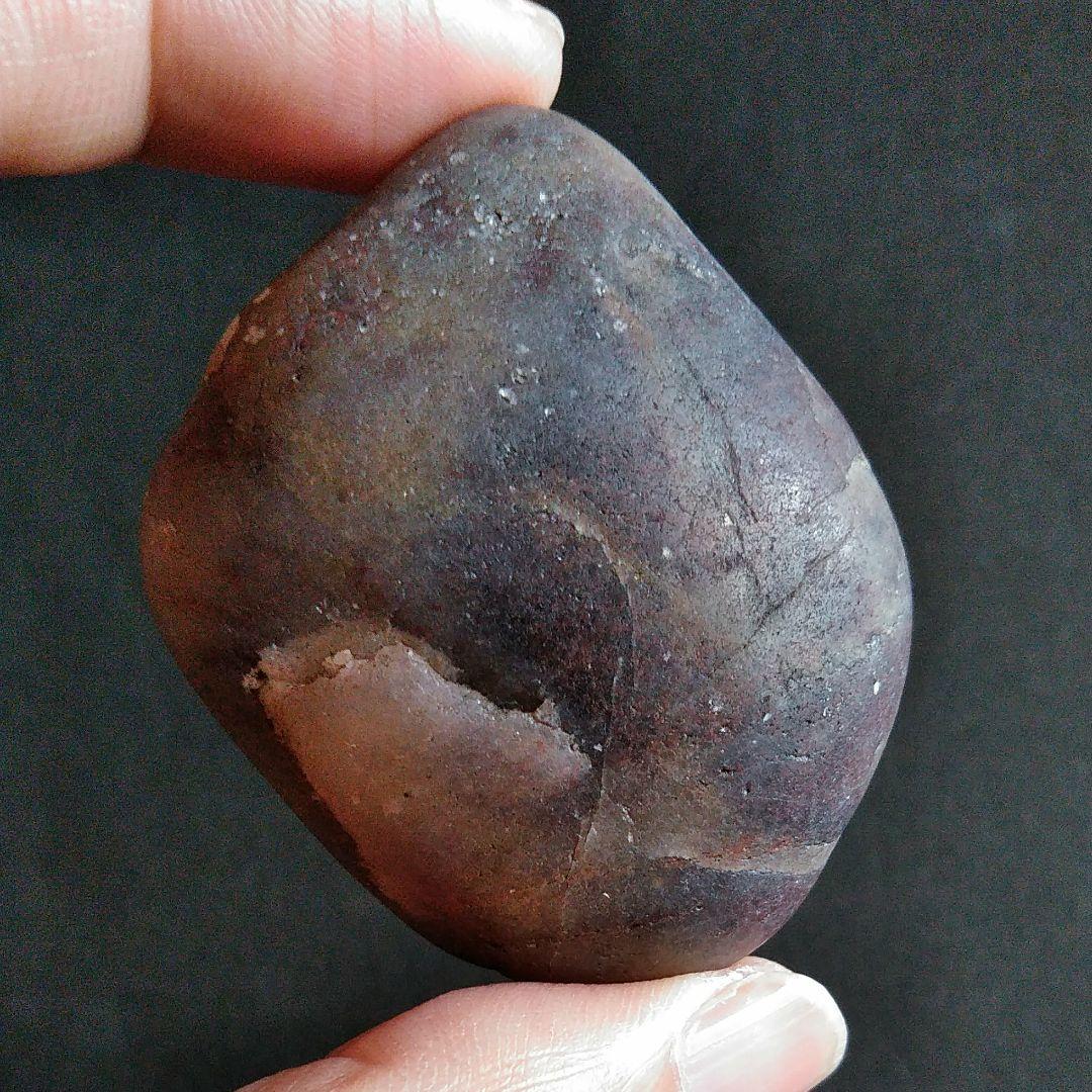 恐竜 化石 標本 胃石 ジュラ紀 52mm