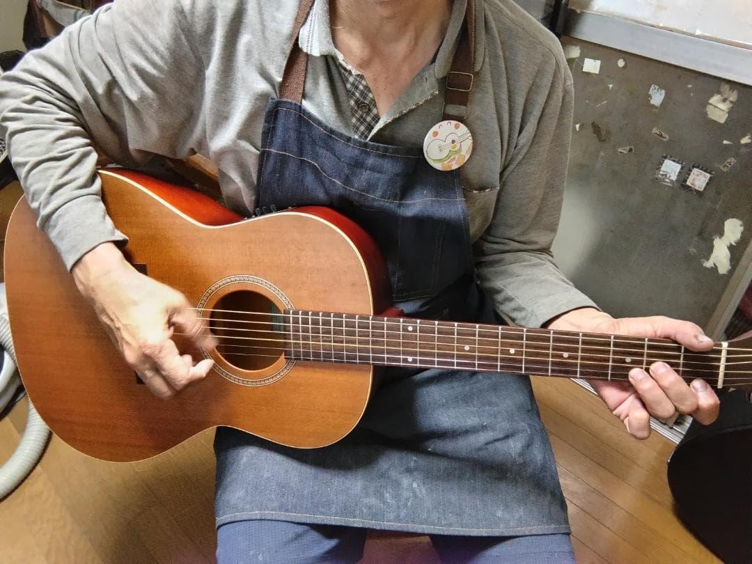 ❤️弦高調整済「シーガル S6+FOLK MEQ エレアコ 」＋ケース 指弾き良