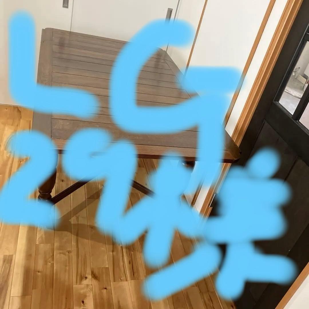 lG29！ ビンテージダイニングテーブル、ドローリーフテーブル伸長式 lG29！ ビンテージダイニングテーブル、ドローリーフテーブル伸長式