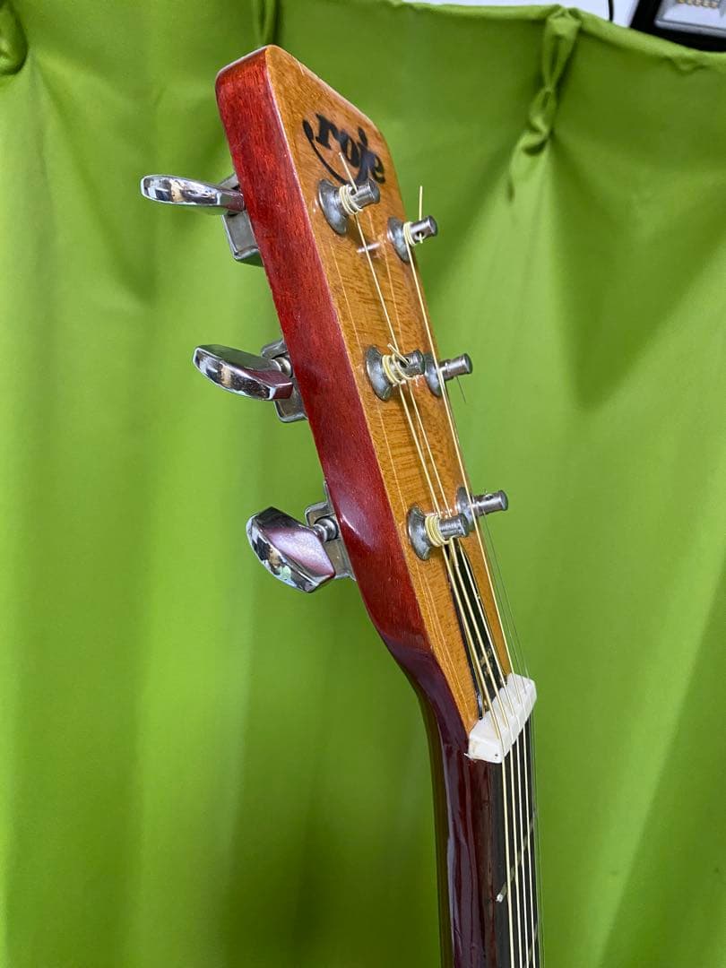 新春特価 ZenOn Roje ハミングバード エレアコ 音出良好 - メルカリ