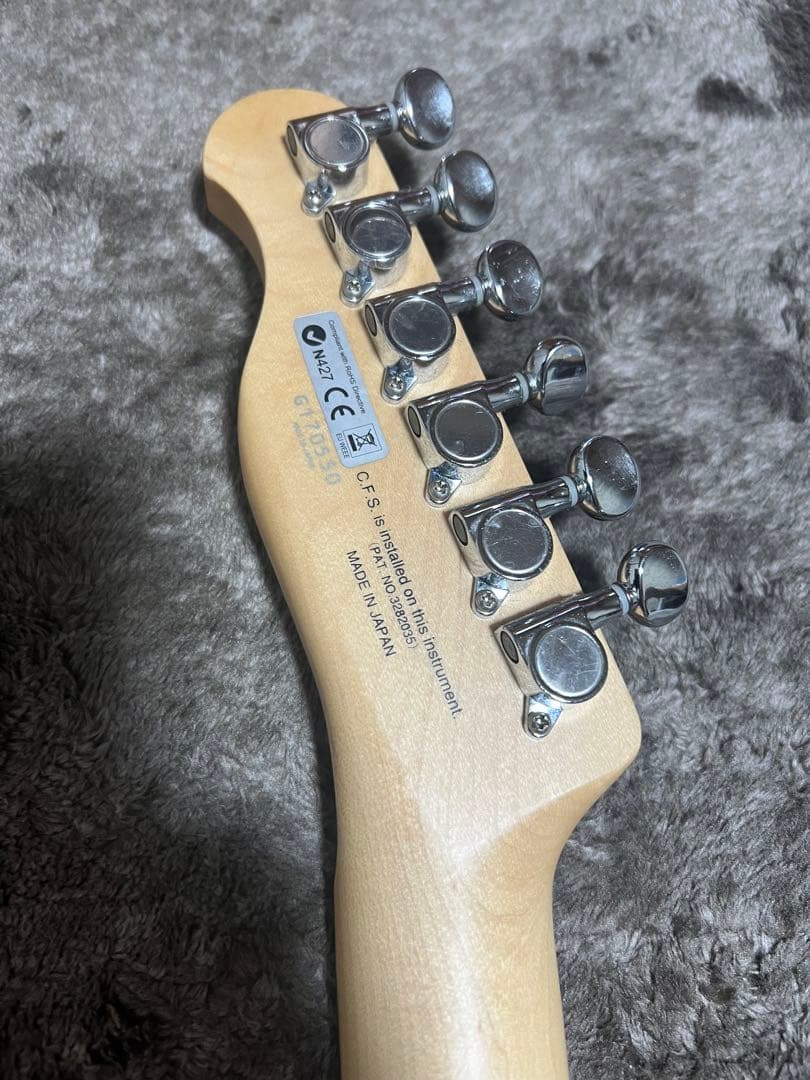 ギター FUJIGEN Basic Classic BCTE100RBD-VWH/01