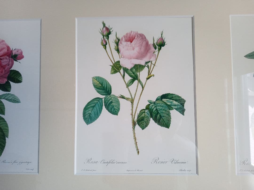 ルドゥーテ　大型アートパネル