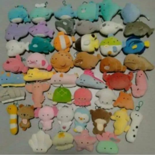 つぶらな瞳の水族館バラ売り