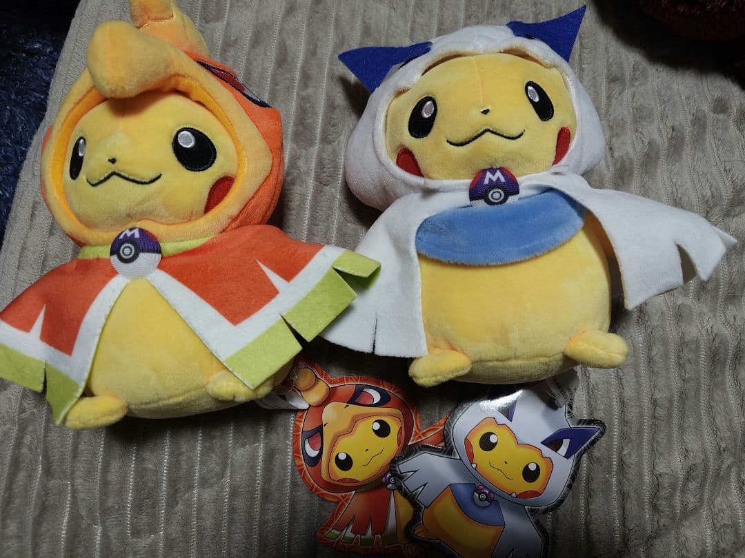 ポケモンセンター ホウオウポンチョ ルギアポンチョを着たピカチュウ