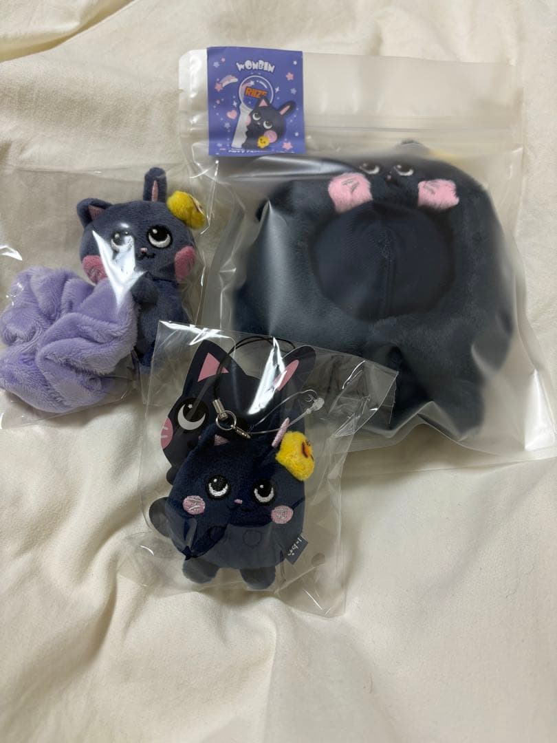 RIIZE ウォンビン トニャンドク ペンライトカバー シュシュ 💛RIIZE