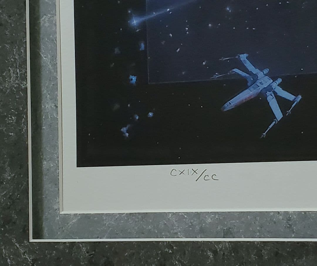 追悼【ドゥルー・ストゥルーザン】直筆サイン入『スター・ウォーズ