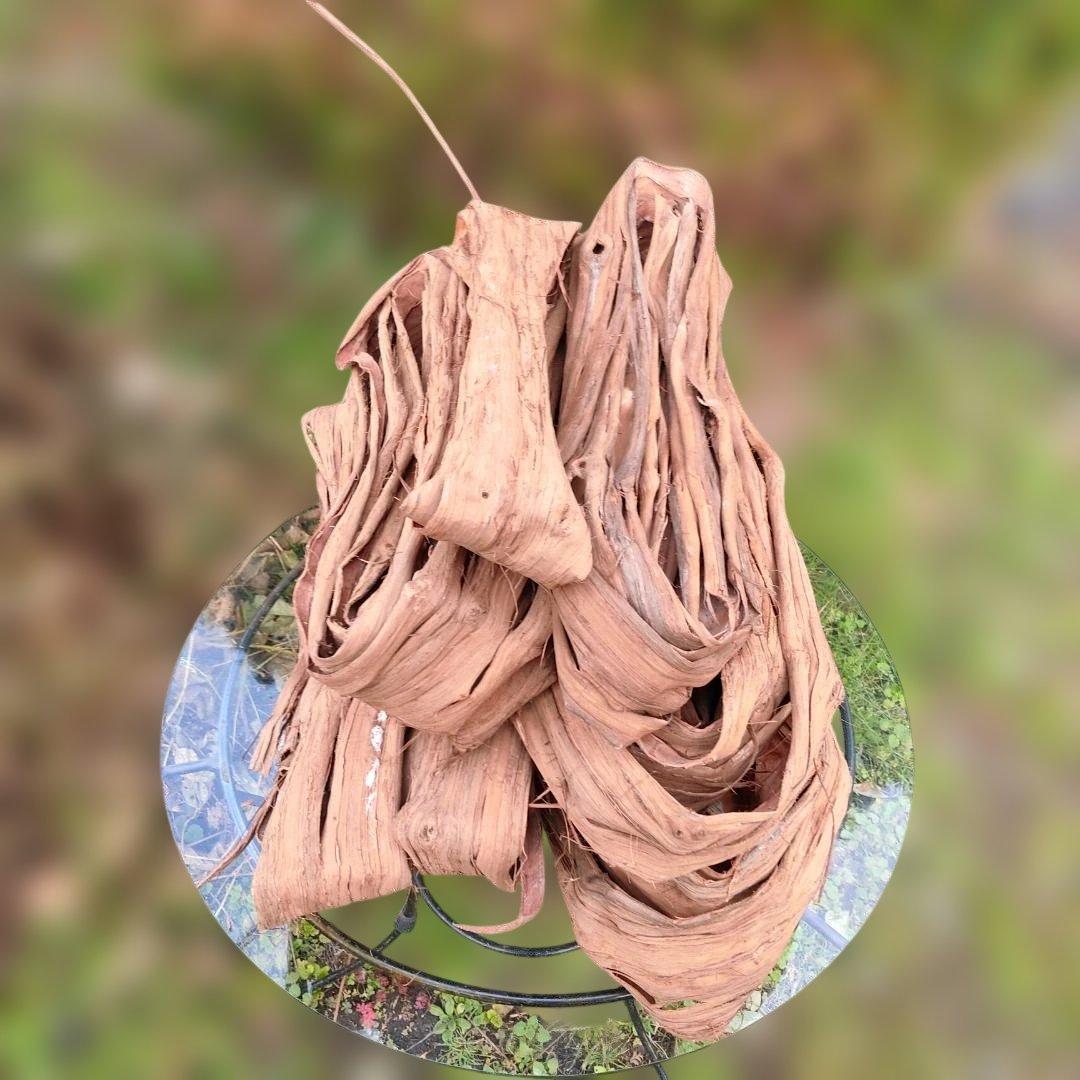 さーちゃん 青森岩木山産 山葡萄 皮 樹皮 約2kg+B品3kg