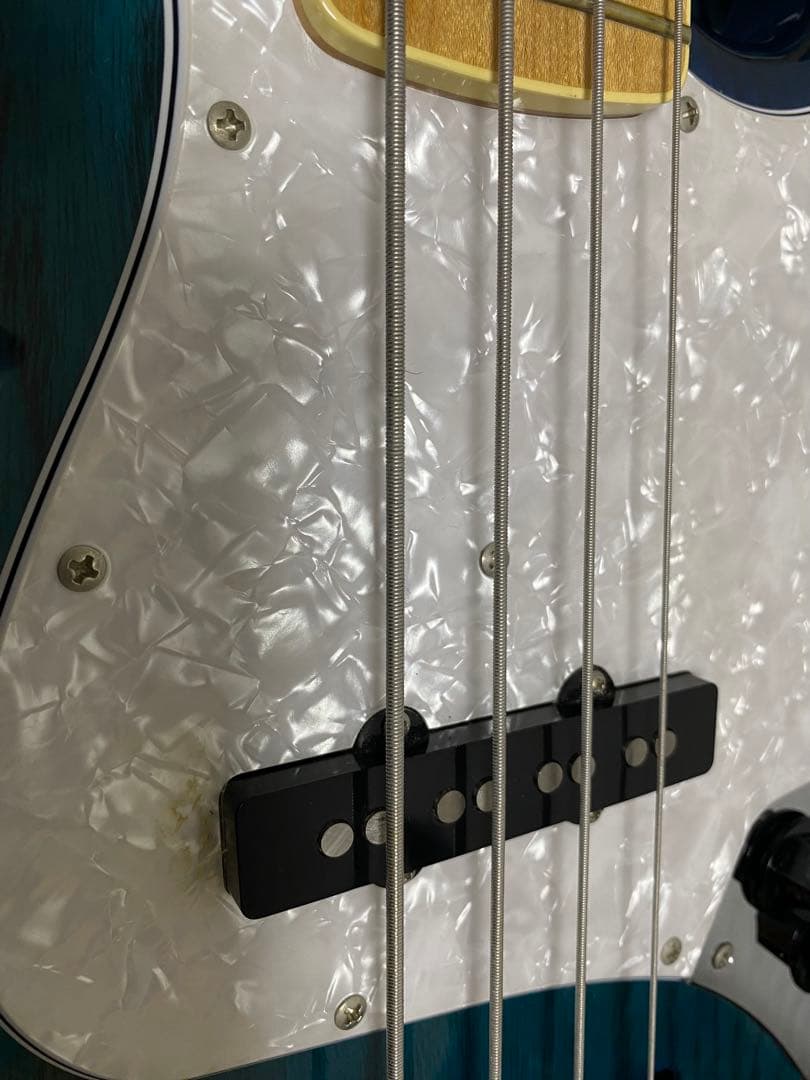 FUJIGEN SNJB101-SBB ネオクラシック FUJIGEN SNJB101-SBB ネオ