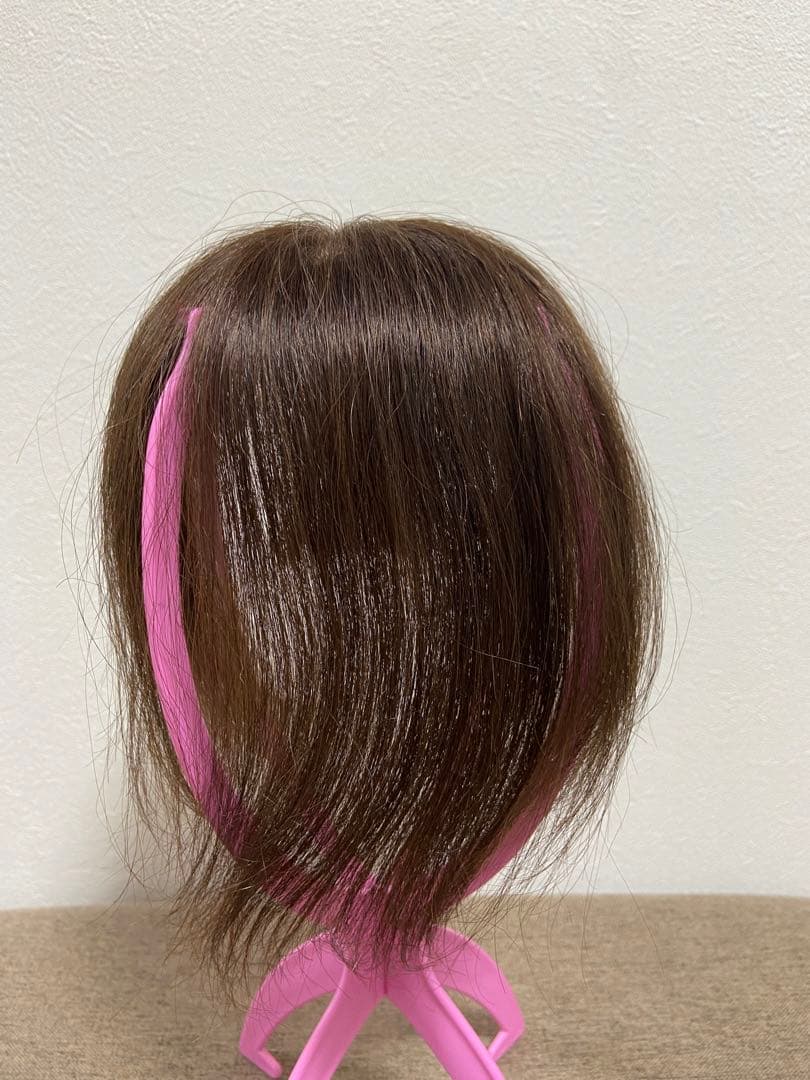ギンカウィンカドレスドヘアー （前髪あり）リッチブラウン