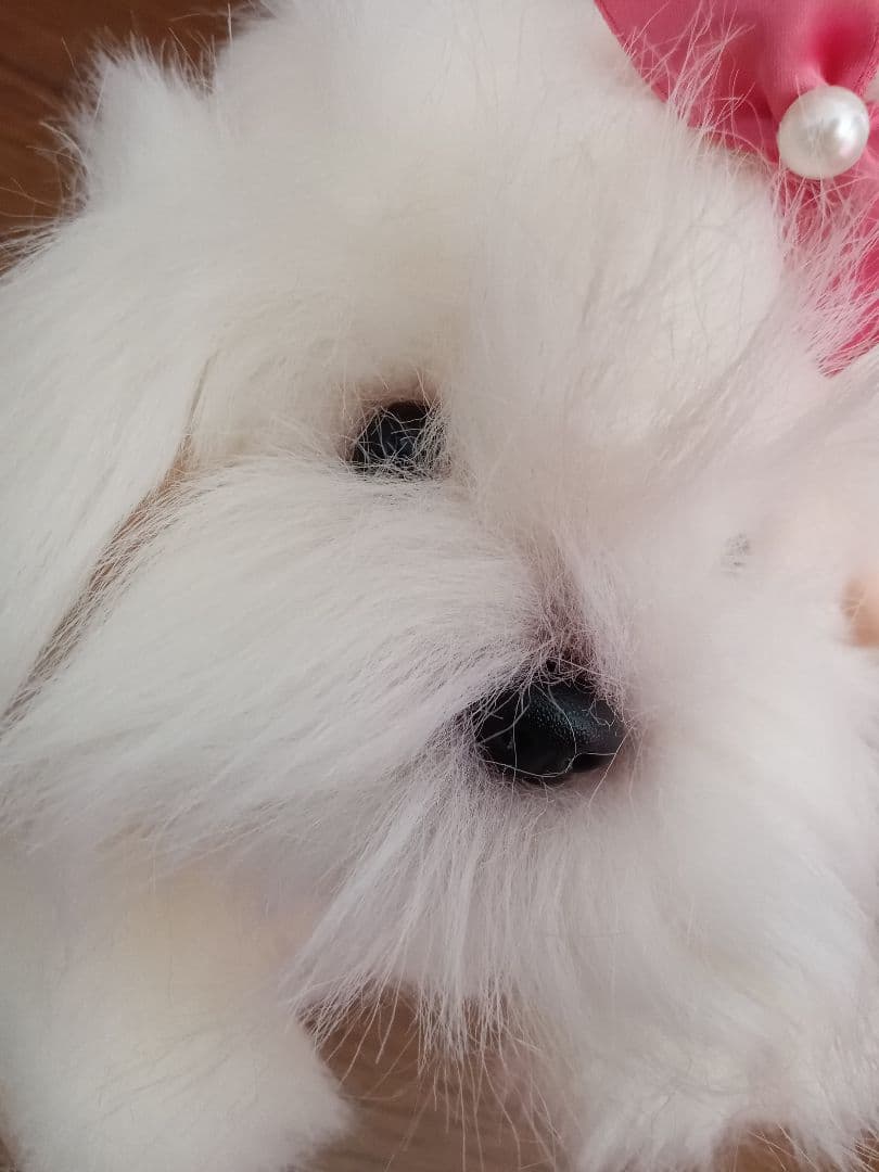 レトロなワンちゃん　ぬいぐるみセット