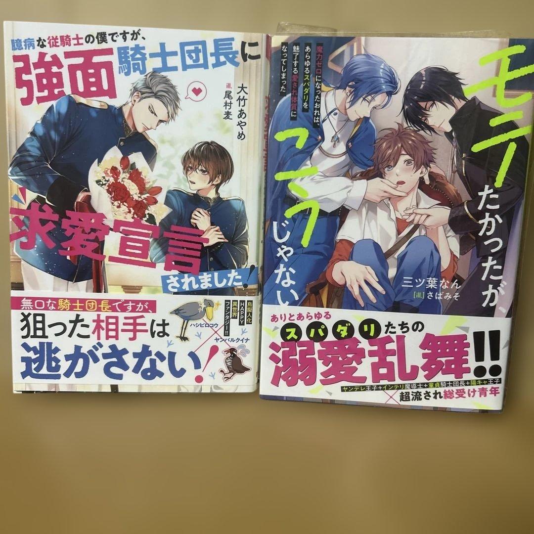 bl 小説纏め売り　15冊セット！