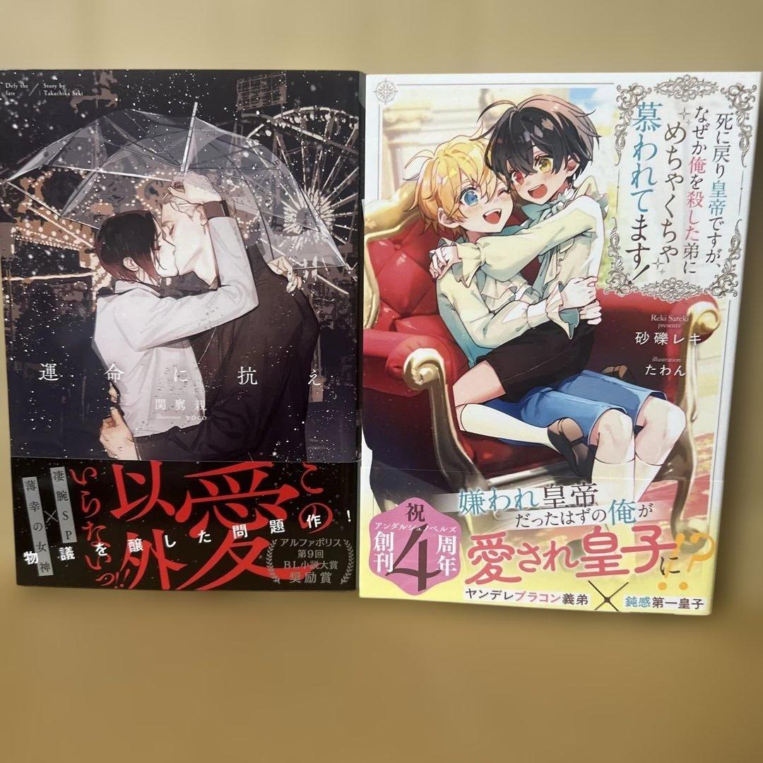 bl 小説纏め売り　15冊セット！